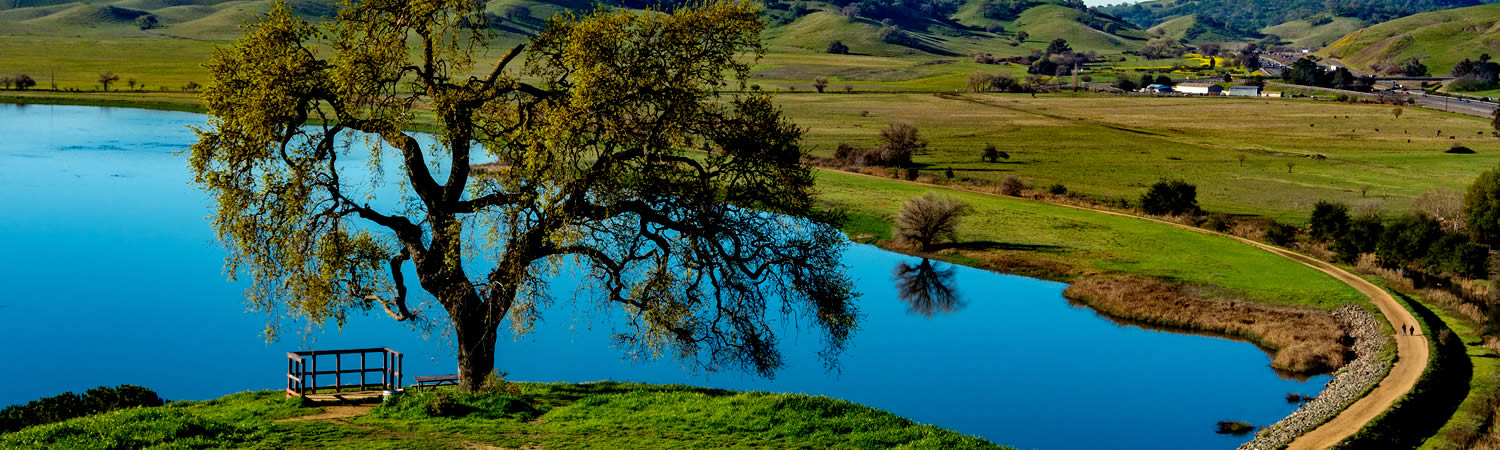 Banner image of Vacaville